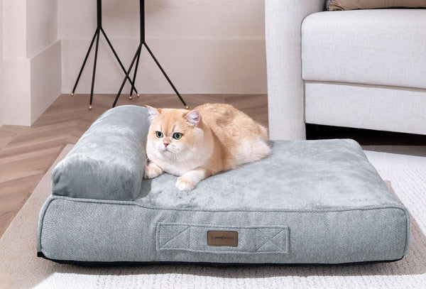 Scotty Poes en Hond Bed