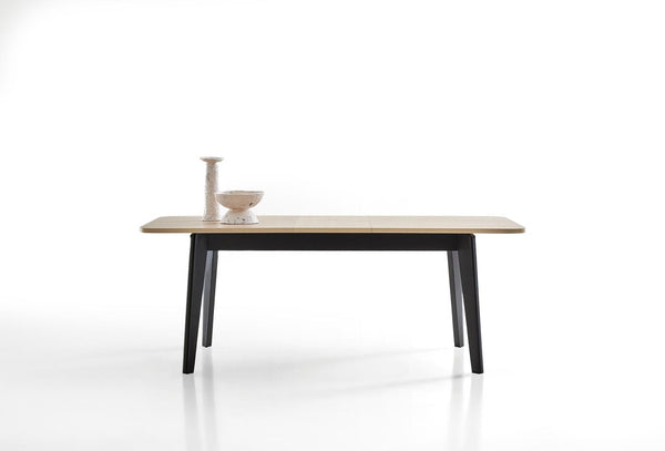 Terra Eettafel Uitschuifbaar 160-200X90 Cm