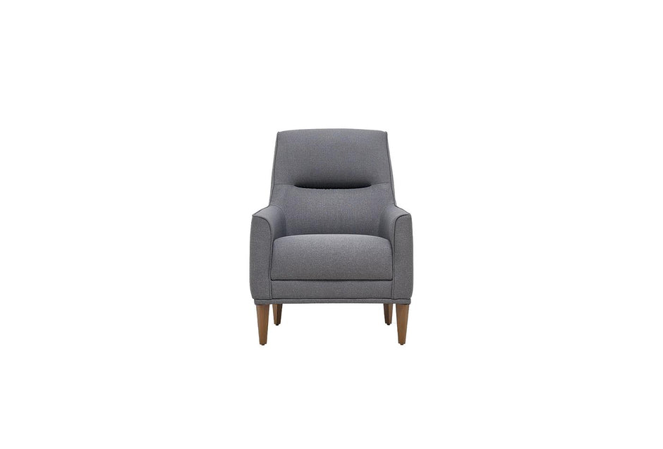 Pavia Fauteuil Fluweel Grijs