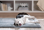 Ringo Poes en Hond Bed - foto 6