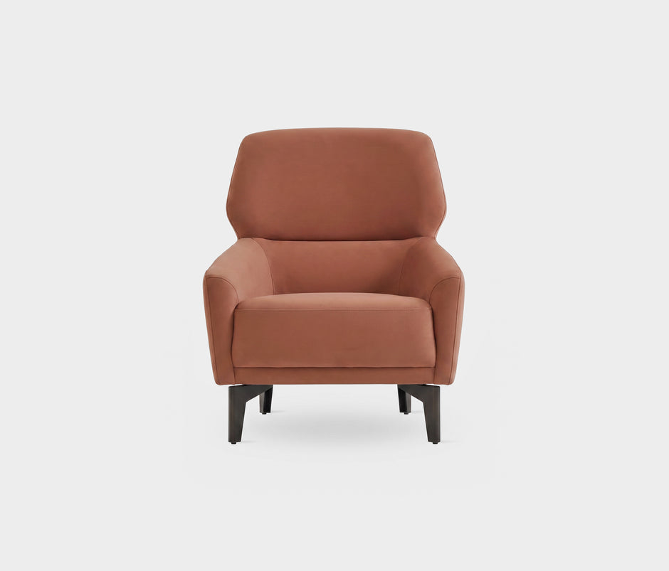 Hera Huisdiervriendelijke Fauteuil Fluweel Donkerzalm (13874924)