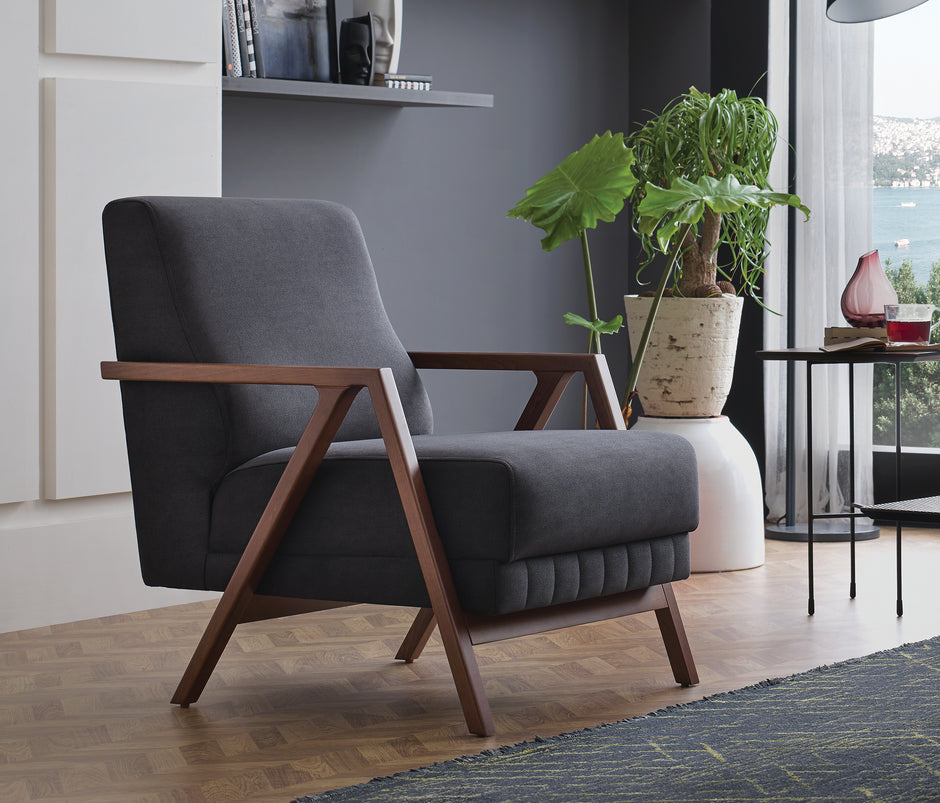 Pavia Huisdiervriendelijke Fauteuil Fluweel Antraciet