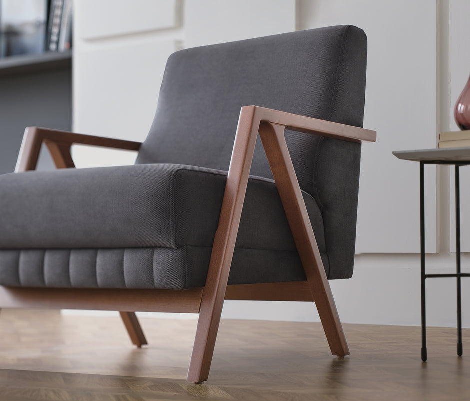 Pavia Huisdiervriendelijke Fauteuil Fluweel Antraciet