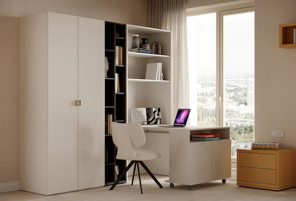 Fit Flex 2 met deur Kast 90X217