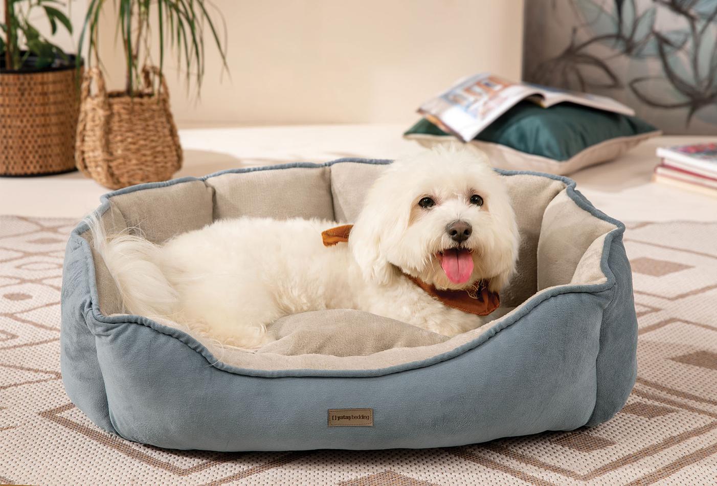 Oscar Poes en Hond Bed