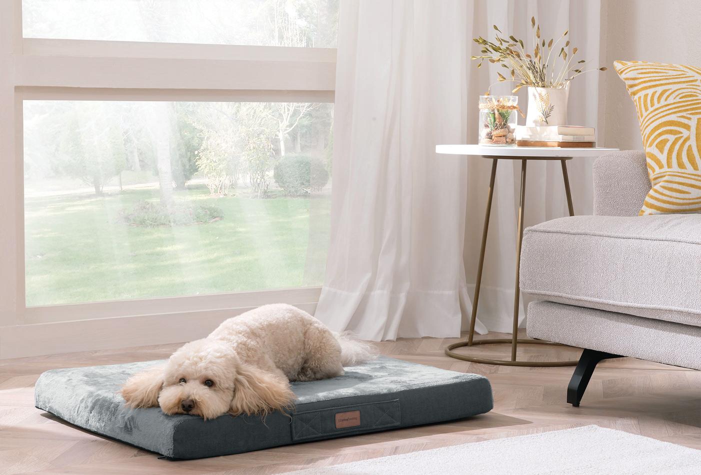 Thor Poes en Hond Bed - foto 3