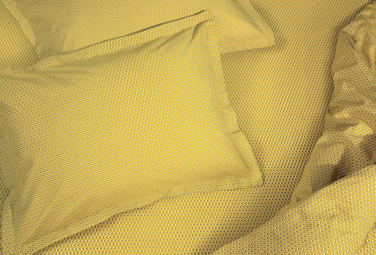 Kenmerken