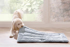 Ringo Poes en Hond Bed - foto 5