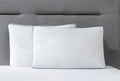 Pegas met veren Kussen 43X62x13 cm