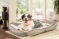 Miu Poes en Hond bed