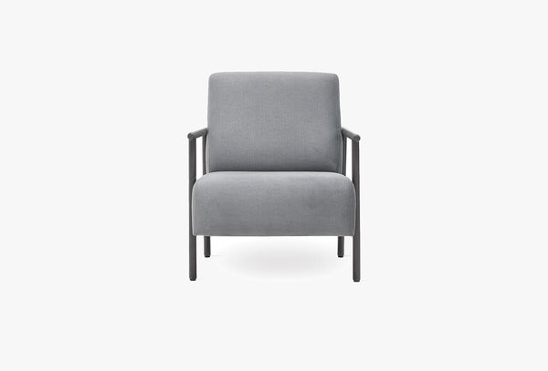 Berta Fauteuil Huisdiervriendelijk Grijs