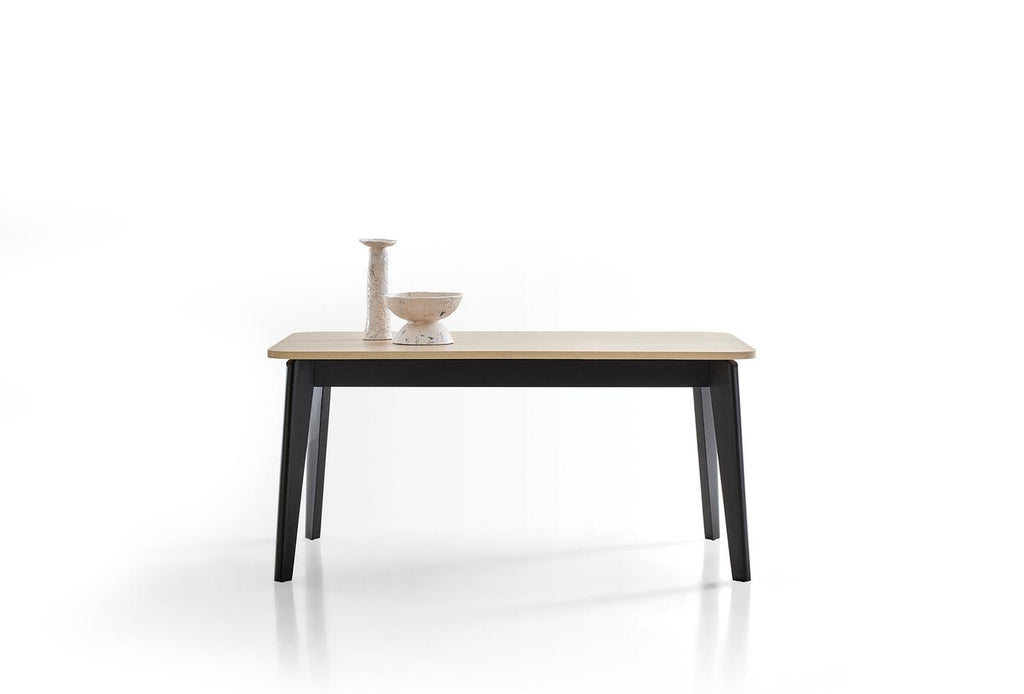 Terra Eettafel Uitschuifbaar 160-200x90 cm - foto 5