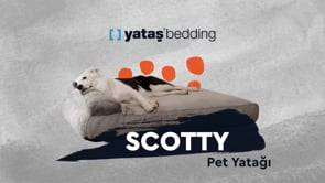 Scotty Poes en Hond Bed