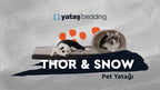 Thor Poes en Hond Bed